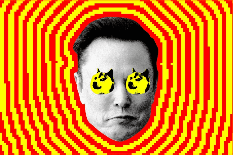 Elon Musk’s DOGE